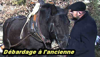Débardage à l'ancienne