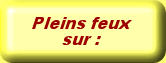 Pleins feux sur